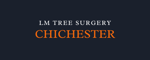 LM Tree Surgery Chichester